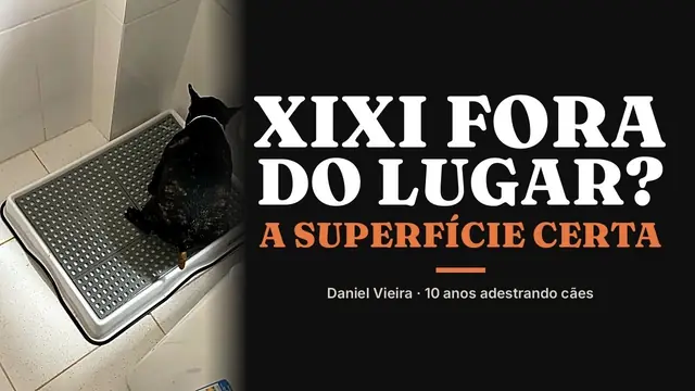 Aula do Daniel Vieira no YouTube sobre a superfície certa para o xixi do filhote